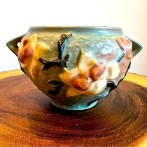 Magnolia Roseville Jardinier Pot